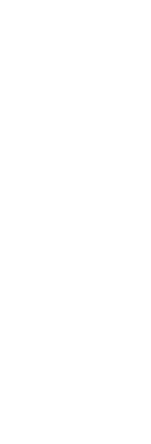 Pillar 1